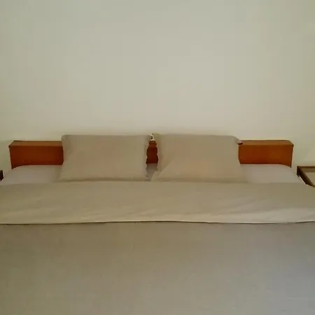 Paun Σκόπια